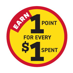 earn one point for every one dollar spent