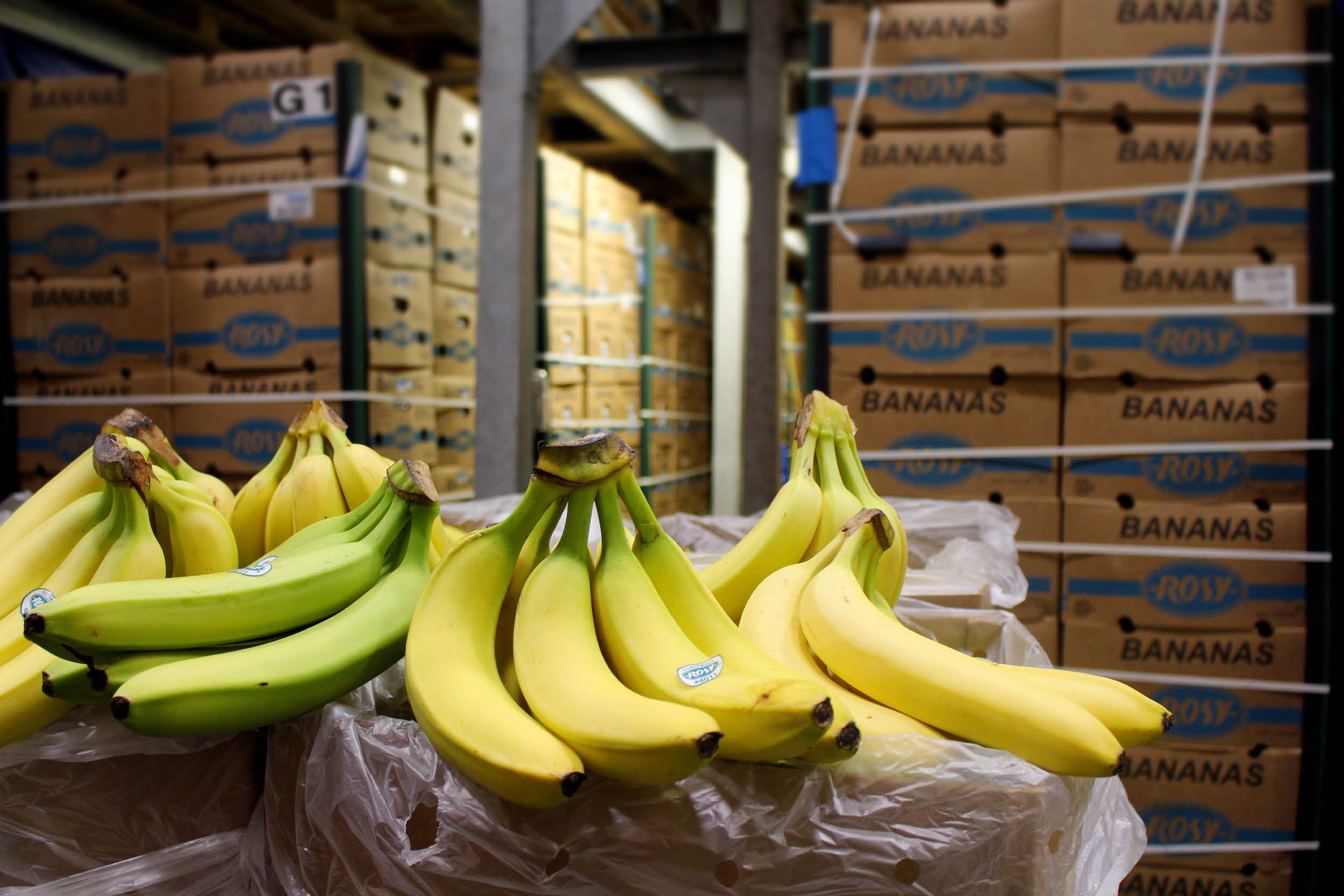 bananas